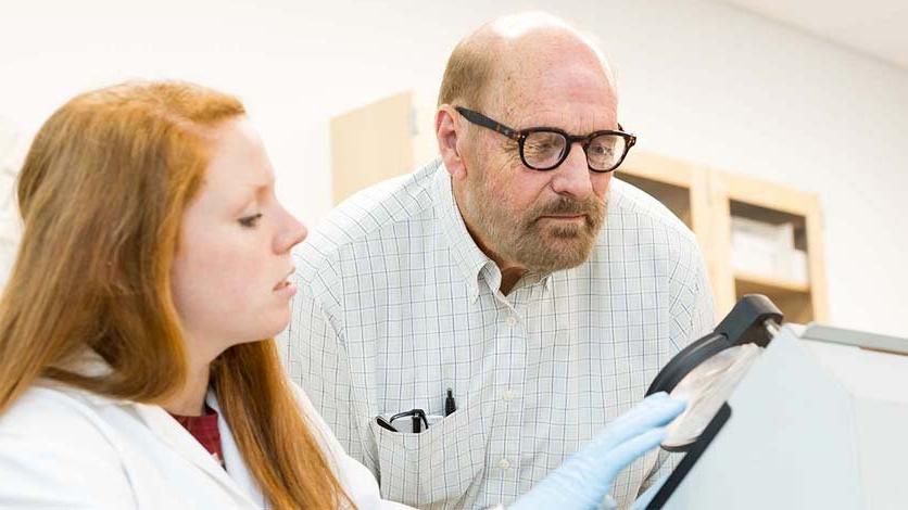 Student researcher works with professor in lab